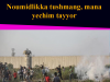 Noumidlikka tushmang, mana yechim tayyor