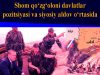Shom qo‘zg‘oloni davlatlar pozitsiyasi va siyosiy aldov o‘rtasida
