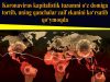 Koronavirus kapitalistik tuzumni o‘z domiga tortib, uning qanchalar zaif ekanini ko‘rsatib qo‘ymoqda
