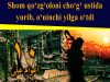 Shom qo‘zg‘oloni cho‘g‘ ustida yurib, o‘ninchi yilga o‘tdi