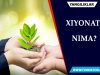 XIYONAT NIMA?