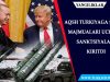 AQSh Turkiyaga S-400 majmualari uchun sanktsiyalar kiritdi