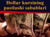 Dollar kursining pastlashi sabablari
