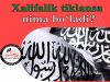 Xalifalik tiklansa nima bo‘ladi?
