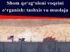 Shom qo‘zg‘oloni voqeini o‘rganish: tashxis va muolaja