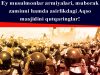 Ey musulmonlar armiyalari, muborak zaminni hamda asirlikdagi Aqso masjidini qutqaringlar!