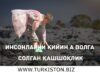 Insonlarni qiyin ahvolga solgan qashshoqlik